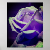 紫紫紫芽 ポスター (正面)