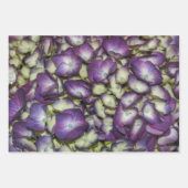 紫紫色植物学フローラ写真 ラッピングペーパーシート (正面2)