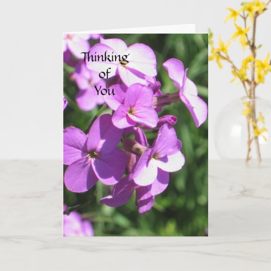 紫考えの野花 カード (黄色い花)