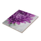紫色および灰色のデイジーの花のセラミックタイル タイル (側面)