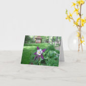 紫色および白いオダマキ（植物） カード (黄色い花)