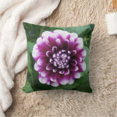 紫色および白いダリア クッション (ブランケット)