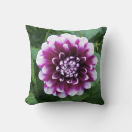 紫色および白いダリア クッション