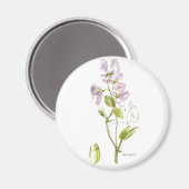 紫色および緑のスイートピー マグネット (正面/裏面)