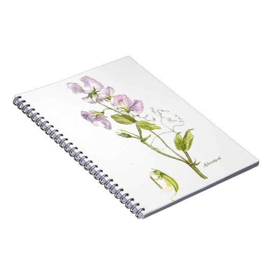 紫色および緑の甘エンドウ豆の花の水彩画 ノートブック (右側)