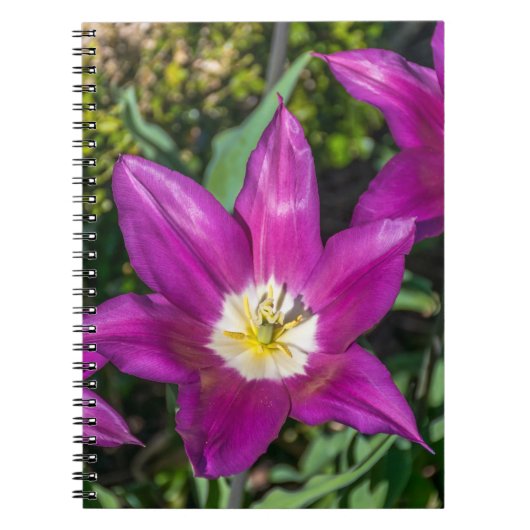 紫色および黄色の花のノート ノートブック (正面)
