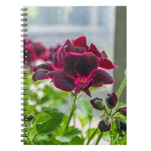 紫色によってはノートが開花します ノートブック (正面)
