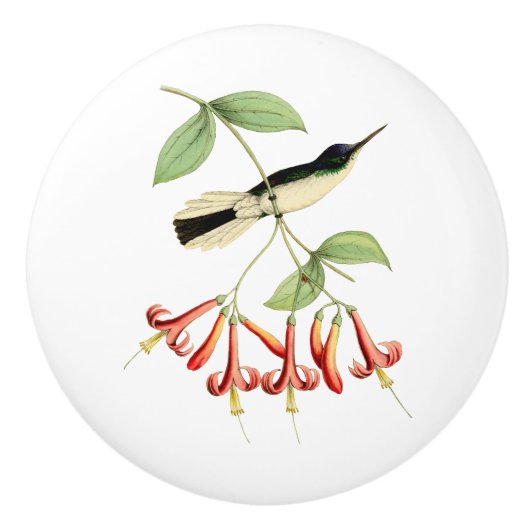 紫色によって戴冠させる妖精のハチドリ セラミックノブ (正面)