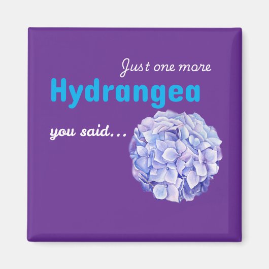 紫色のあじさいのマグネット - Just One More Hydrangea マグネット (正面)