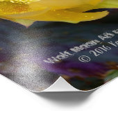 紫色のとげのある梨オプンティアサボテン/黄色の花 フォトプリント (角)