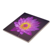 紫色のはすの花 タイル (側面)