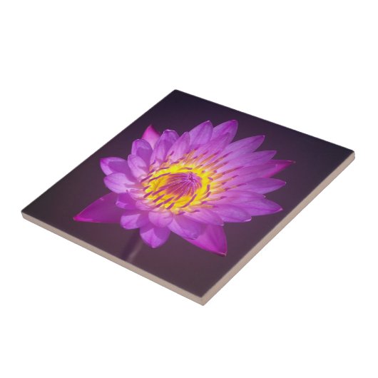 紫色のはすの花 タイル (側面)