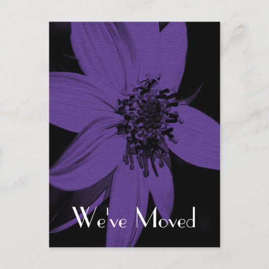 紫色のひまわり新住所フローラ絵葉書 案内ポストカード (正面)