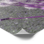 紫色のふわふわのタンポポ抽象芸術花 ポスター (角)