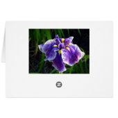 紫色のアイリスカード (裏面横)