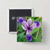 紫色のアイリスボタン 缶バッジ (正面&裏面)