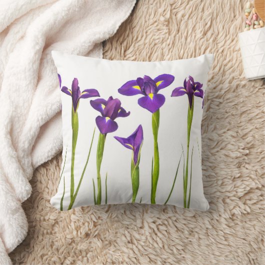 紫色のアイリス-アイリス花によってカスタマイズテンプレート クッション (ブランケット)