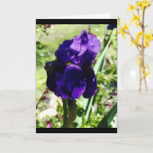 紫色のアイリス カード (黄色い花)