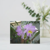 紫色のアイリス ポストカード (スタンド正面)