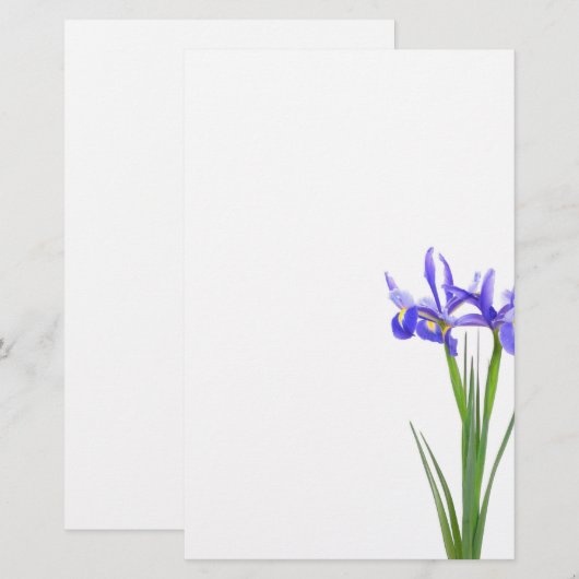 紫色のアイリス 便箋 (正面/裏面)