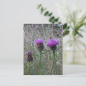 紫色のアザミの三色 ポストカード (スタンド正面)