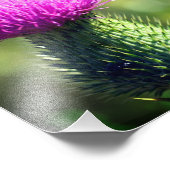 紫色のアザミ花クローズアップ8 x 8 フォトプリント (角)