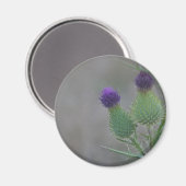 紫色のアザミ マグネット (正面/裏面)