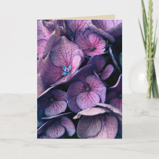 紫色のアジサイのブランクの挨拶状 カード (正面)