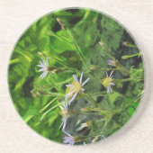 紫色のアスター コースター (正面)