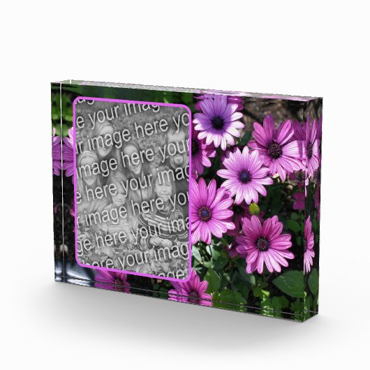 紫色のアフリカのデイジーの花を自分の花を追加 フォトブロック (右)