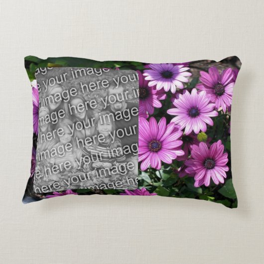 紫色のアフリカデイジーの花のフレームあなたの写真を追加 アクセントクッション (裏面)