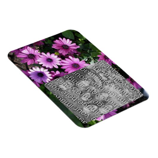 紫色のアフリカデイジーの花のフレームあなたの写真を追加 マグネット (右側)