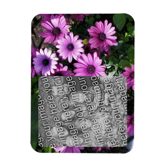 紫色のアフリカデイジーの花のフレームあなたの写真を追加 マグネット (縦)