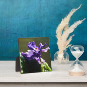 紫色のアフリカバイオレット~ 5.25 x 5.25イーゼル フォトプラーク (インサイチュ)