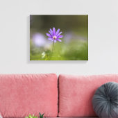 紫色のウィンドフラワー自然写真 キャンバスプリント (インサイチュ (リビング))