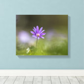 紫色のウィンドフラワー自然写真 キャンバスプリント (インサイチュ (ウッドフロア))