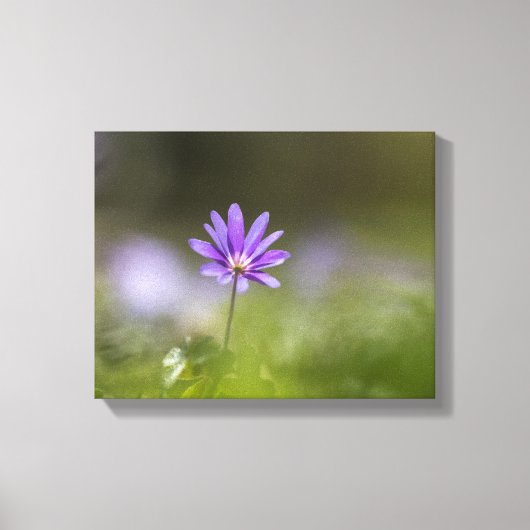 紫色のウィンドフラワー自然写真 キャンバスプリント (正面)