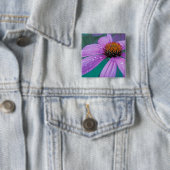 紫色のエキナセアの花と水滴 缶バッジ (インサイチュ)