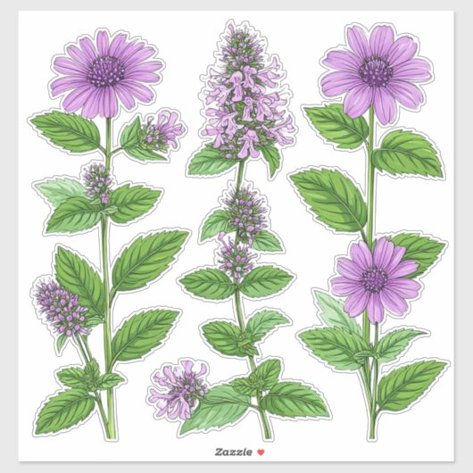 紫色のエキナセアの花と緑の葉 シール (シート)