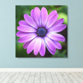 紫色のオステオペラムキャンバス印刷 キャンバスプリント (インサイチュ (ウッドフロア))