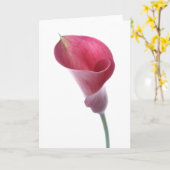 紫色のオランダカイウユリカード カード (黄色い花)