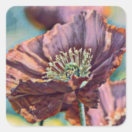 紫色のオレンジ色の赤いケシの花の水色 スクエアシール
