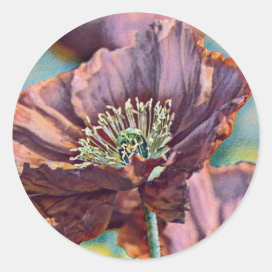 紫色のオレンジ色の赤いケシの花の水色 ラウンドシール (正面)