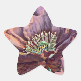 紫色のオレンジ色の赤いケシの花の水色 星シール