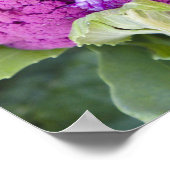 紫色のカリフラワーの販売 ポスター (角)