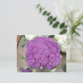 紫色のカリフラワー。撮影:フレデリック・マイキンス ポストカード (スタンド正面)