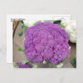 紫色のカリフラワー。撮影:フレデリック・マイキンス ポストカード (正面/裏面)