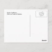 紫色のカリフラワー。撮影:フレデリック・マイキンス ポストカード (裏面)