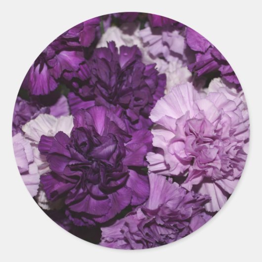 紫色のカーネーションの花 ラウンドシール (正面)