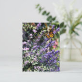 紫色のキャットミントの花と蝶 ポストカード (スタンド正面)